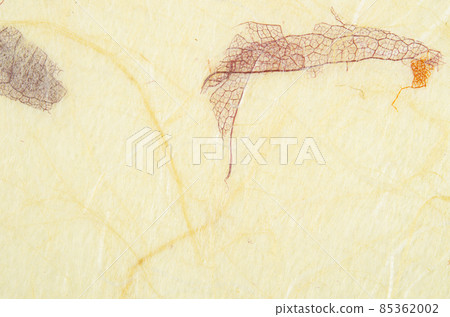 Striped leaves on Mulberry paper texture background Striped leaves on Mulberry paper texture background 85362002