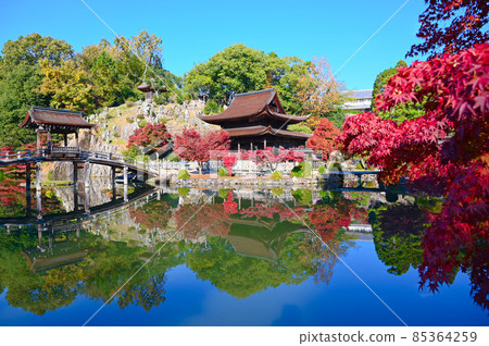 永寶寺觀音堂國寶永寶寺花園多治見市 85364259
