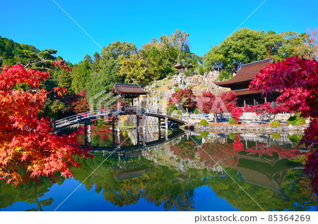 Eihoji Temple Eihoji Garden Musaibashi Kannon-do Eihoji Iwao Tajimi City 85364269
