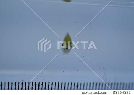 Rokusen tin medi 85364521