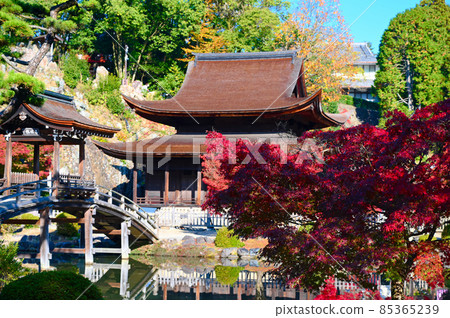 Eihoji Temple Kannon-do Autumn Leaves Tajimi City Eihoji Temple Kannon-do Autumn Leaves Tajimi City 85365239