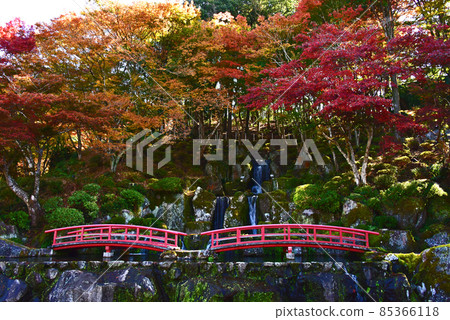 佐賀縣武雄市京州園的紅葉 佐賀縣武雄市京州園的紅葉 85366118