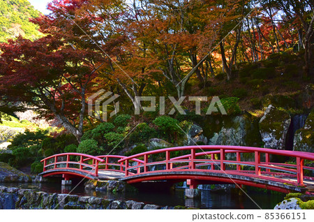 Autumn leaves in Keishuen, Takeo City, Saga Prefecture 85366151