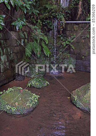 東圓寺(朝香) 東圓寺(朝香) 85366209