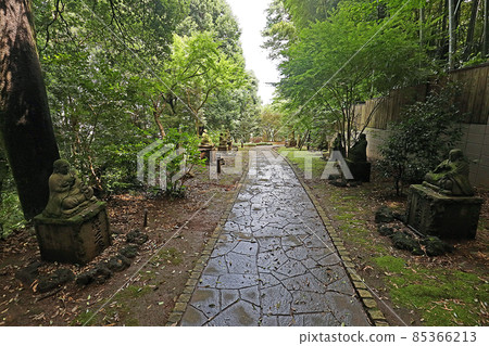 東圓寺(朝香) 東圓寺(朝香) 85366213