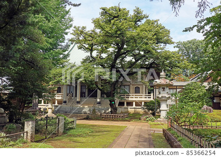 東圓寺(朝香) 東圓寺(朝香) 85366254