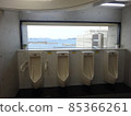 Ocean view toilet 85366261