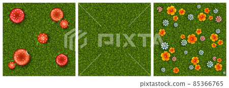 Textures of green grass with flowers and mushrooms Textures of green grass with flowers and mushrooms 85366765