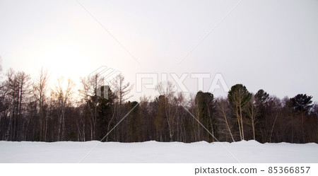 Beautiful landscape scenery in winter season. Deciduous trees due to cold while the ground was covered with white snow 85366857