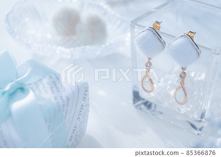 Fur pierced earrings present image 85366876