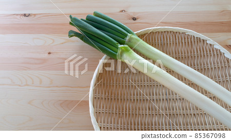 Japanese leek  85367098