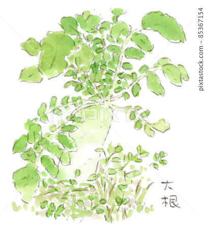 田間蘿蔔的水彩插圖,在那裡你可以感受到強大的生命力 田間蘿蔔的水彩插圖,在那裡你可以感受到強大的生命力 85367154