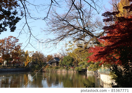 Himonya Park, Meguro-ku 85367771