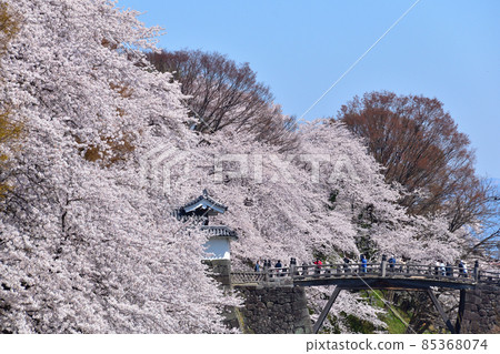 Sakura view Yamagata castle 85368074