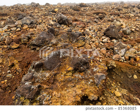 Mountain forest limit galley field (Yamagata Prefecture, Zao mountain range, Kumanodake) 85368085