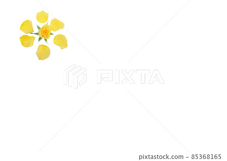 Rose yellow yellow rose yellow rose rose rose Rose yellow yellow rose yellow rose rose rose 85368165