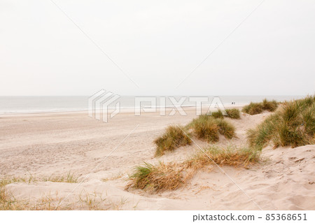North Sea beach in Denmark. Dune grass. North Sea beach in Denmark. Dune grass. 85368651