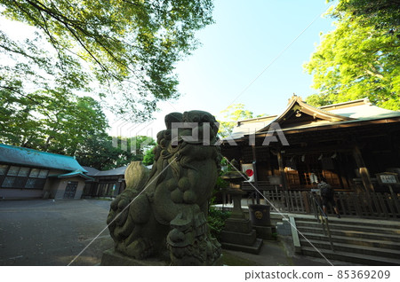 大江川的風景 大江川的風景 85369209