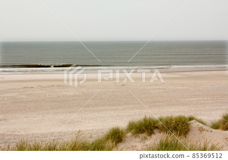North Sea beach in Denmark. Dune grass. 85369512