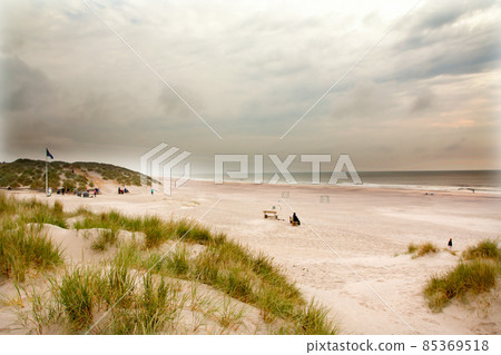 North Sea beach in Denmark. Dune grass. 85369518