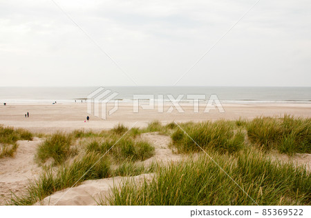 North Sea beach in Denmark. Dune grass. North Sea beach in Denmark. Dune grass. 85369522