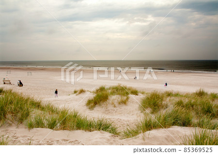 North Sea beach in Denmark. Dune grass. 85369525