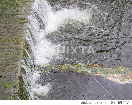A small rapids in a river with mud and a snake swimming in it A small rapids in a river with mud and a snake swimming in it 85369747