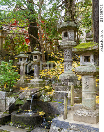 春日大社石燈籠和銀杏落葉 春日大社石燈籠和銀杏落葉 85369798