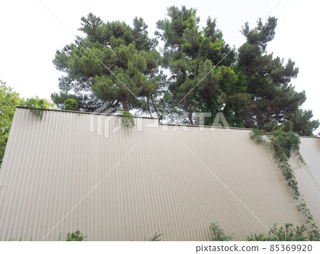 A tall light metal fence with trees growing behind it against a cloudy sky. View from below A tall light metal fence with trees growing behind it against a cloudy sky. View from below 85369920