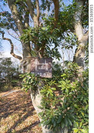 高山山頂（小野阿爾卑斯） 85369955