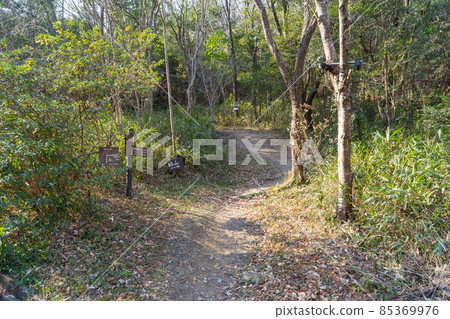 Middle course trailhead (Ono Alps) 85369976