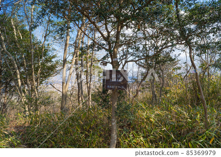 Soyama summit (Ono Alps) 85369979