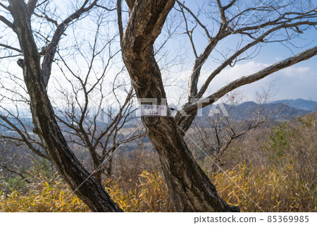 The summit of Mt. Antenna (Ono Alps) 85369985