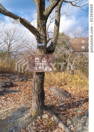 The summit of Souyama (Ono Alps) 85369989