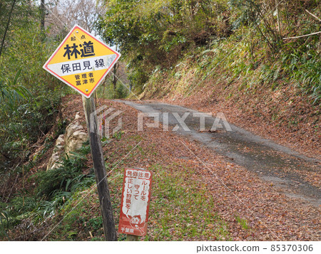 Forest Road Hota Mi Line（千葉縣富津市） 85370306