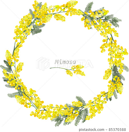 Mimosa wreath frame 85370388