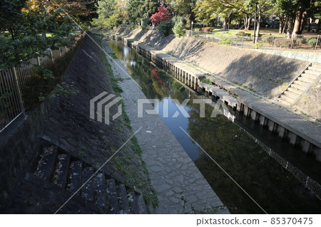 Suginami Ward Zenfukuji River Suginami Ward Zenfukuji River 85370475