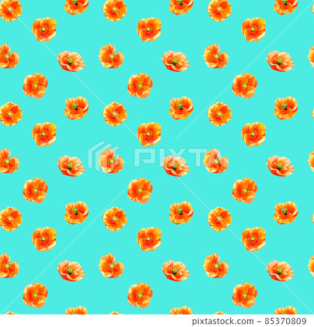 Background material of Papaver dubium Spring weeds, flowers Hand-painted watercolor illustration textile pattern Background material of Papaver dubium Spring weeds, flowers Hand-painted watercolor illustration textile pattern 85370809