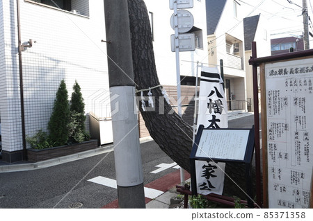 永福町倉掛之松 85371358
