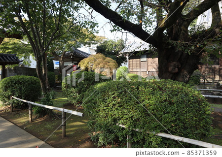 永福町大圓寺 85371359