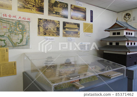 Sakura Castle Ruins Park Center 85371462