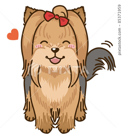 Natsuki 約克夏犬（全毛） 85371959