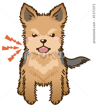 來勢洶洶的約克夏犬 85371971