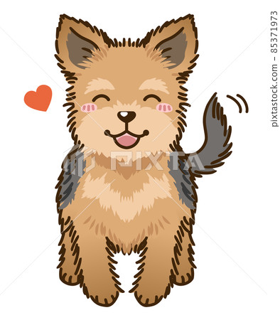 夏木約克夏梗 85371973