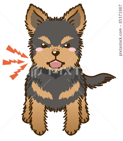 Menacing Yorkshire Terrier (Black and Tan) 85371987