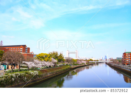 名古屋市春景、櫻花、世紀堂 85372912