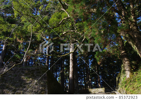 Obi Castle Honmaru Ruins Ishigaki Obi Castle Honmaru Ruins Ishigaki 85372923