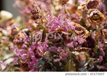 紫色乾燥花 85373897