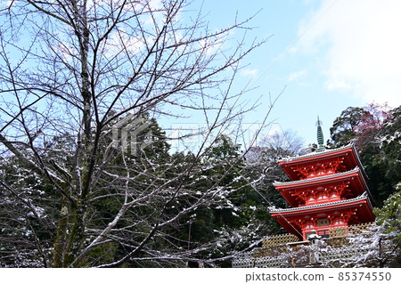 Gifu Castle's triple tower and snow scene 85374550