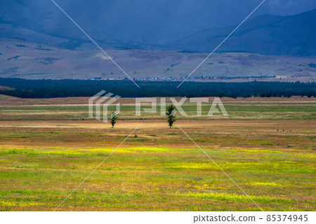 Bright summer steppe landscape. Steppe on the background of mountains. Background of agricultural field and mountains. 85374945